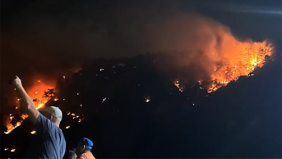 Огонь раскалял скалу: что известно о пожаре в бухте Инал на Кубани