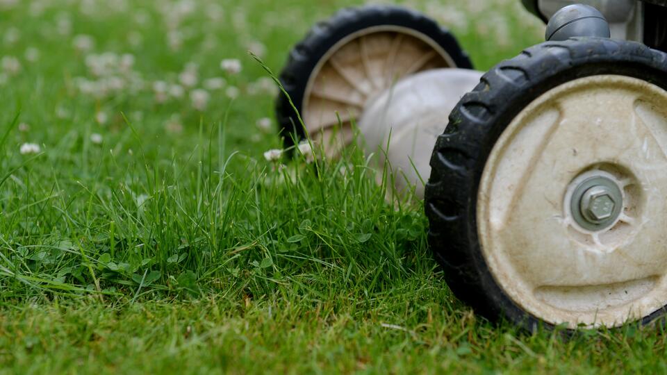 Жительница Ленобласти косила траву во время дождя и умерла от удара током