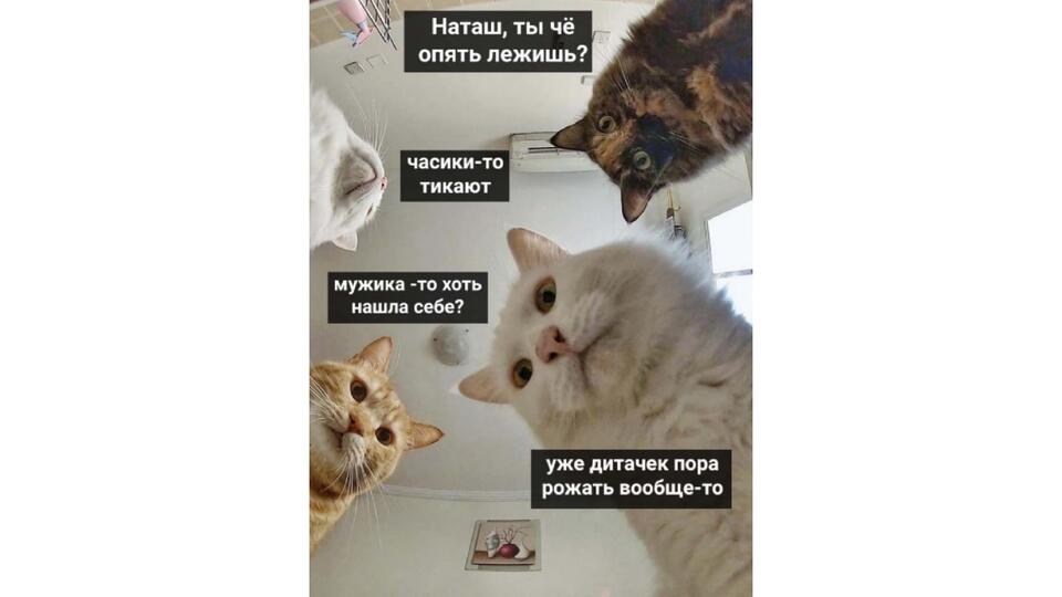 "Наташ, мы там все уронили": как один мем стал символом всех проблем. Фото: © 
