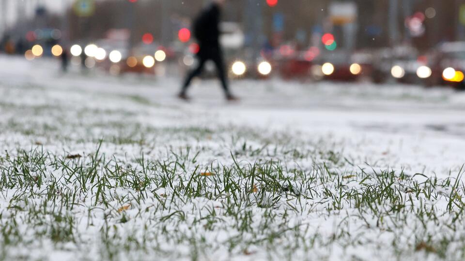 Москвичей предупредили о мокром снеге и сильном ветре в ближайшие часы