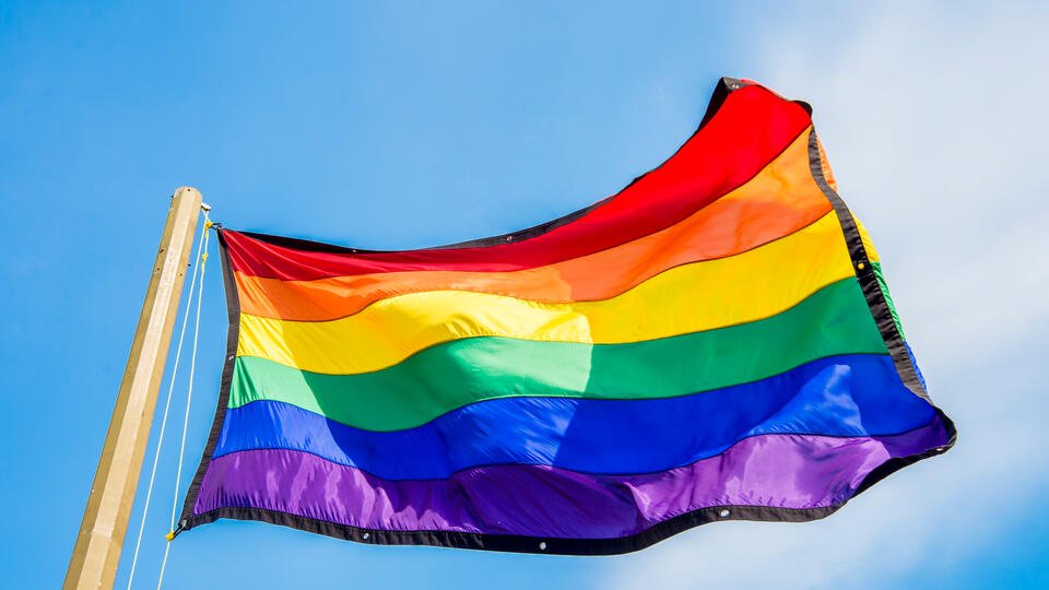 США просят Грузию наказать применивших насилие противников гей-парада