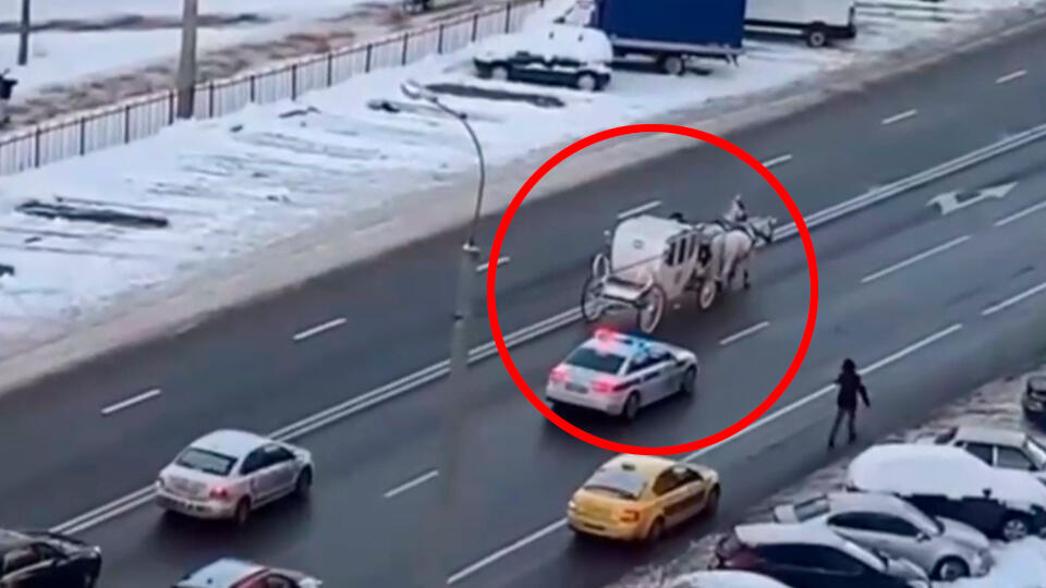 Карета с лошадьми стала причиной пробки на дороге в Москве