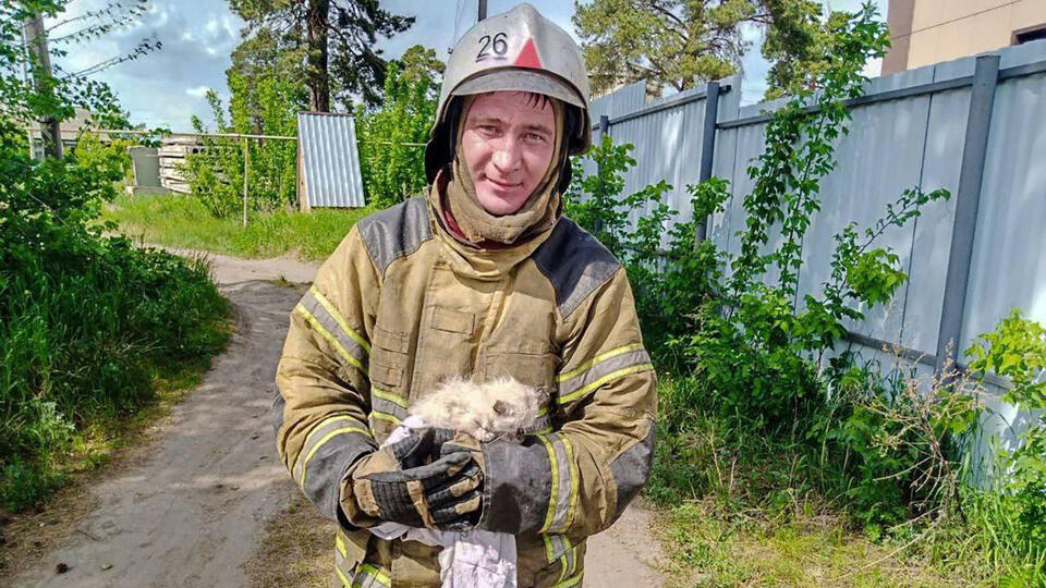 Сотрудники МЧС спасли двух котят из горящего дома под Курганом
