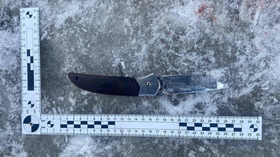 Задержан мужчина, напавший с ножом на женщину с ребенком в Норильске