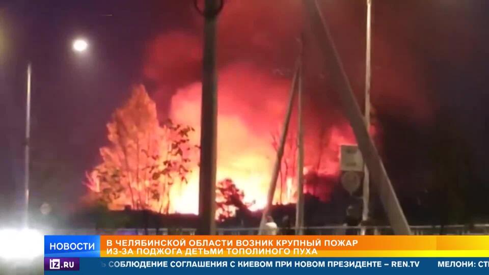 Дети подожгли тополиный пух и устроили крупный пожар под Челябинском
