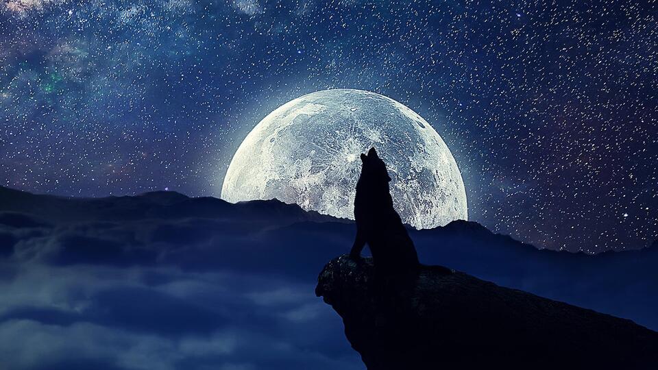 Волчья луна: почему первое полнолуние 2024 года называют страшным