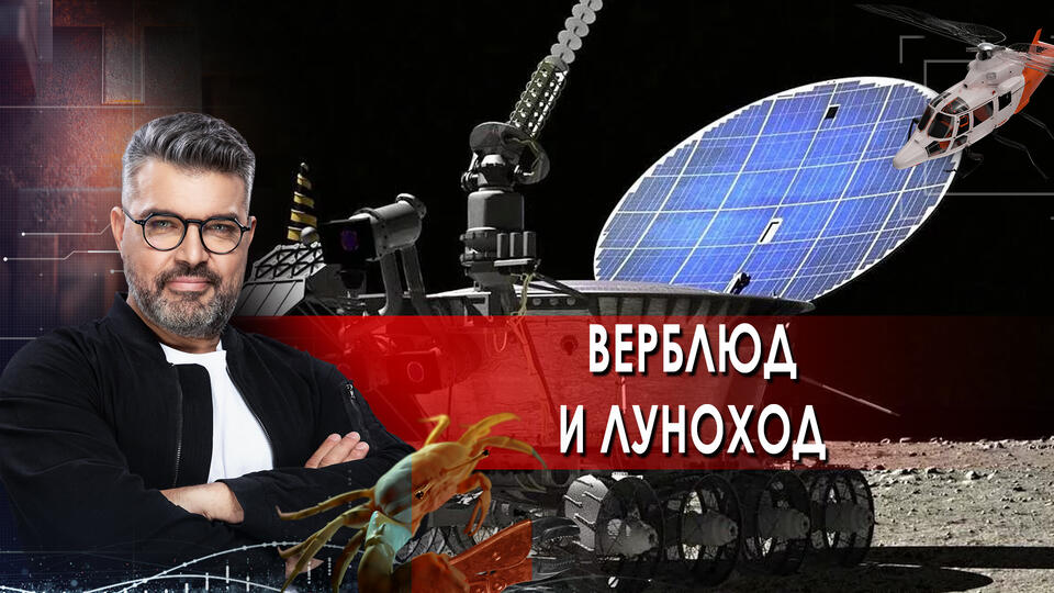 Верблюд и луноход: что общего? | Знаете ли вы, что? (29.06.2021).