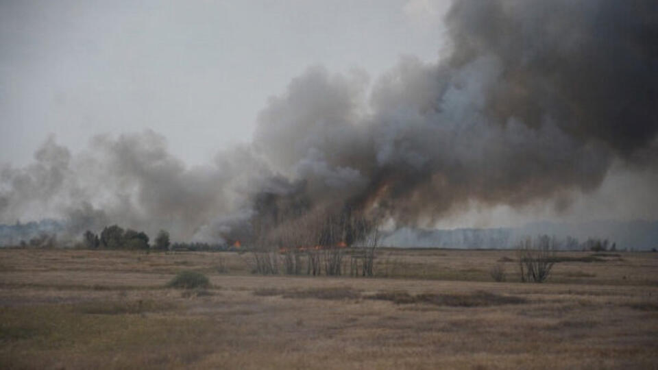 Три человека пострадали в лесных пожарах в Самарской области