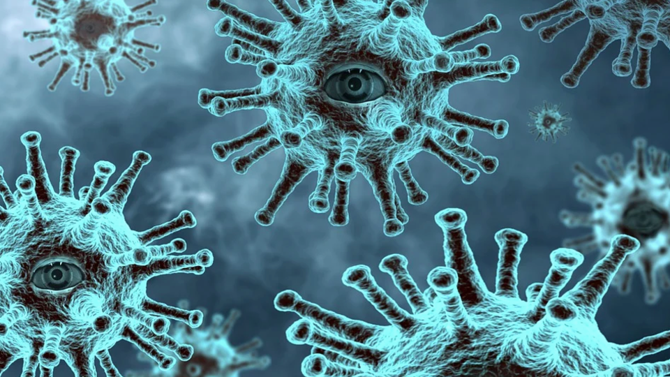Индийский вариант коронавируса с двойной мутацией выявили в США