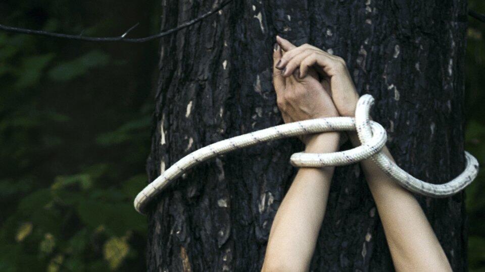 Привязанная телочка к дереву