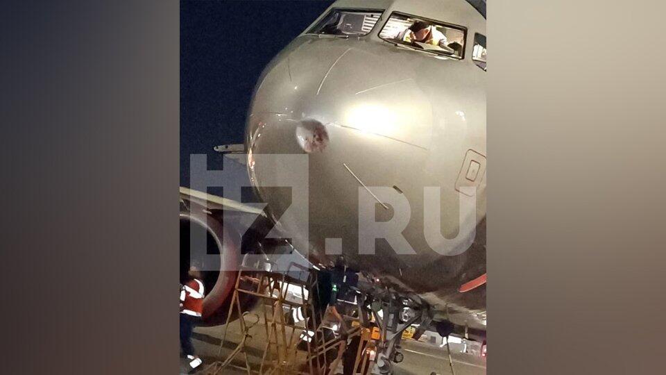 Летевший в Москву самолет при посадке столкнулся с птицей