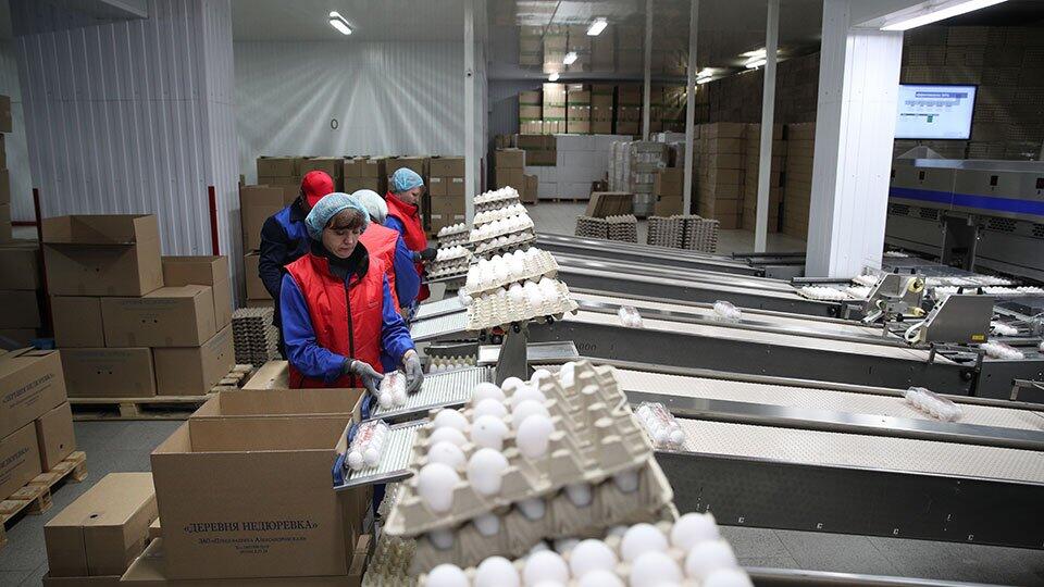 Россия 1 января обнулила пошлину на импорт куриных яиц на полгода