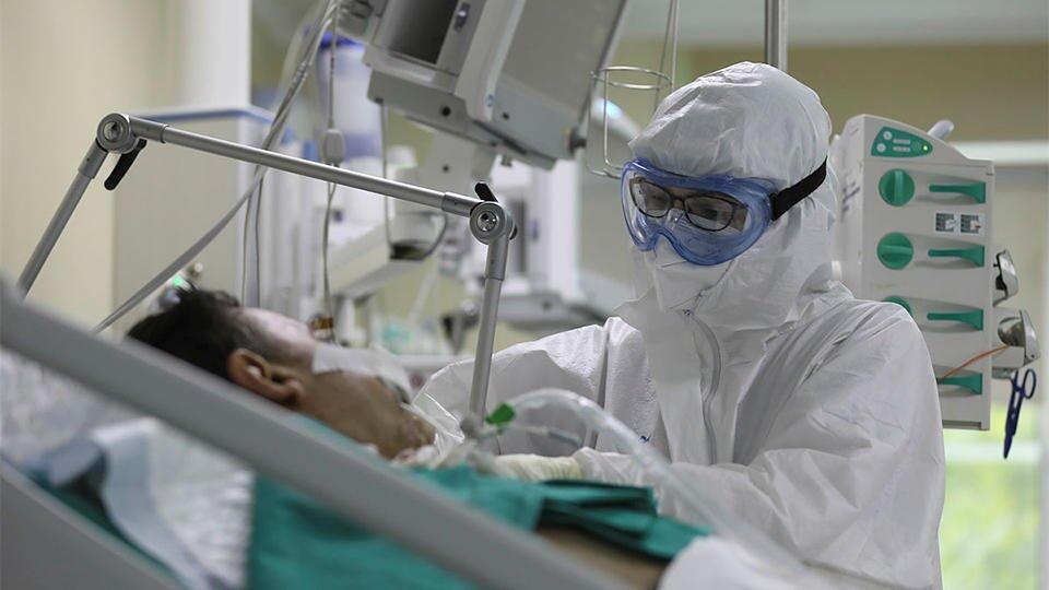 Инфекционист оценил вероятность эпидемии нового вируса NIPAH
