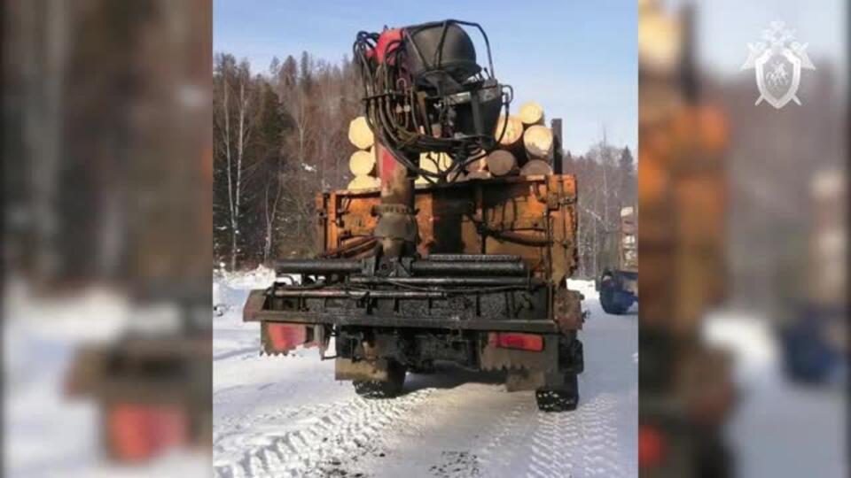 В Иркутской области возбуждено дело о незаконной вырубке леса