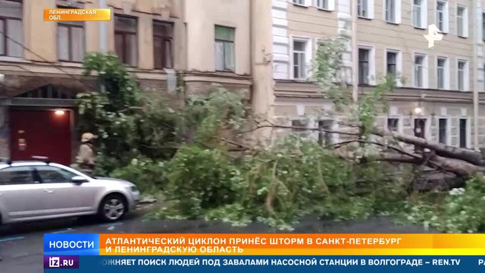 В Петербурге устраняют последствия шторма