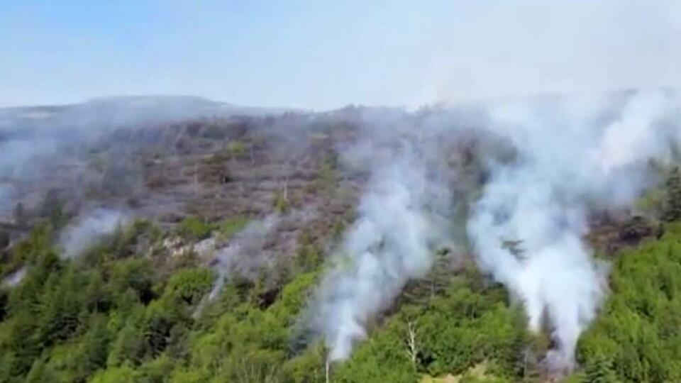 Самолеты-амфибии привлекли к тушению пожаров на Алтае и под Магаданом
