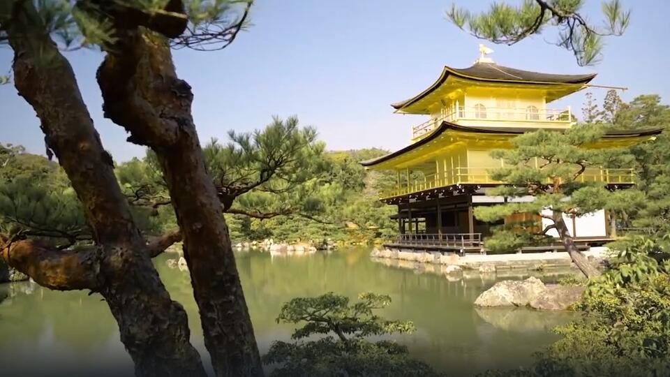 Как японские пагоды выдерживают цунами и землетрясения. Фото: © Кадр из программы "Невероятно интересные истории", РЕН ТВ