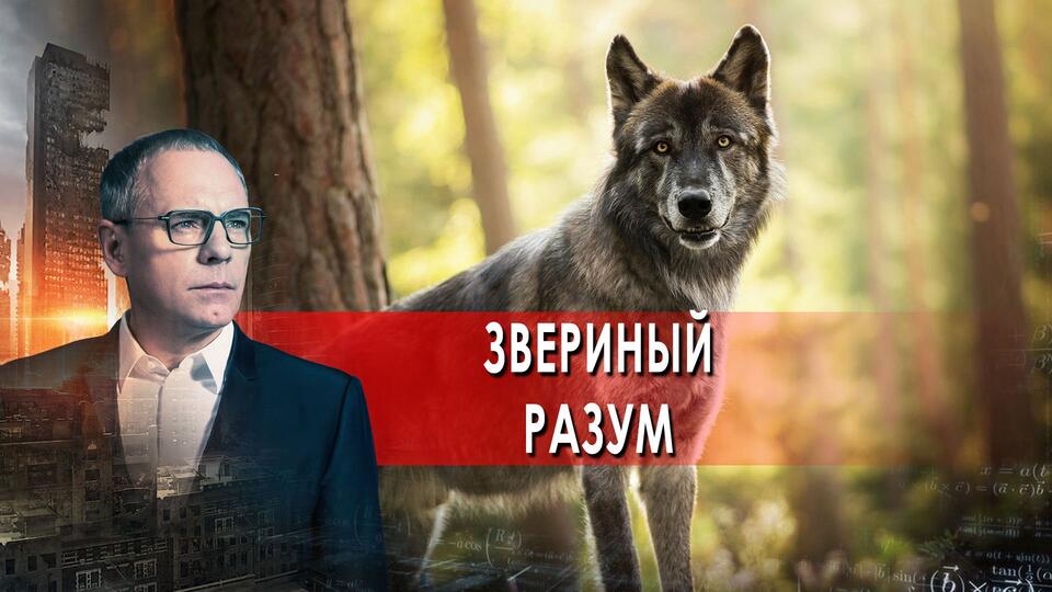 Звериный разум - Самые шокирующие гипотезы с Прокопенко (15.04.2022)