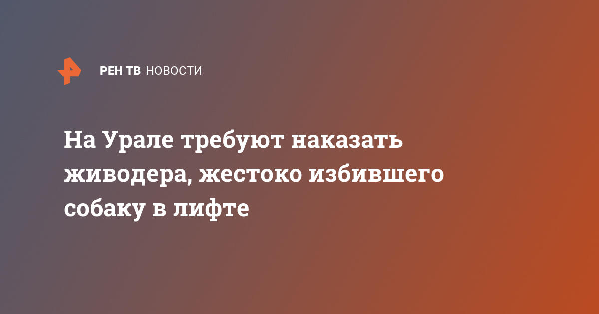 Как наказать собаку, чтобы до неё точно дошло