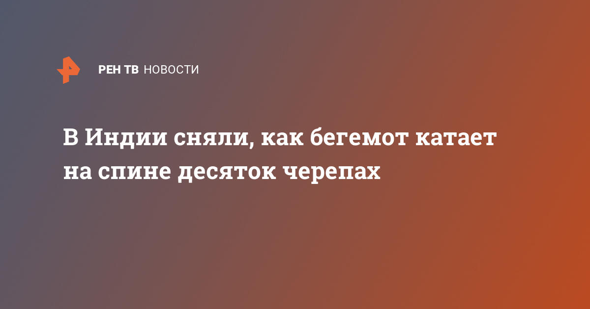 Бегемоту ксюше построят дом