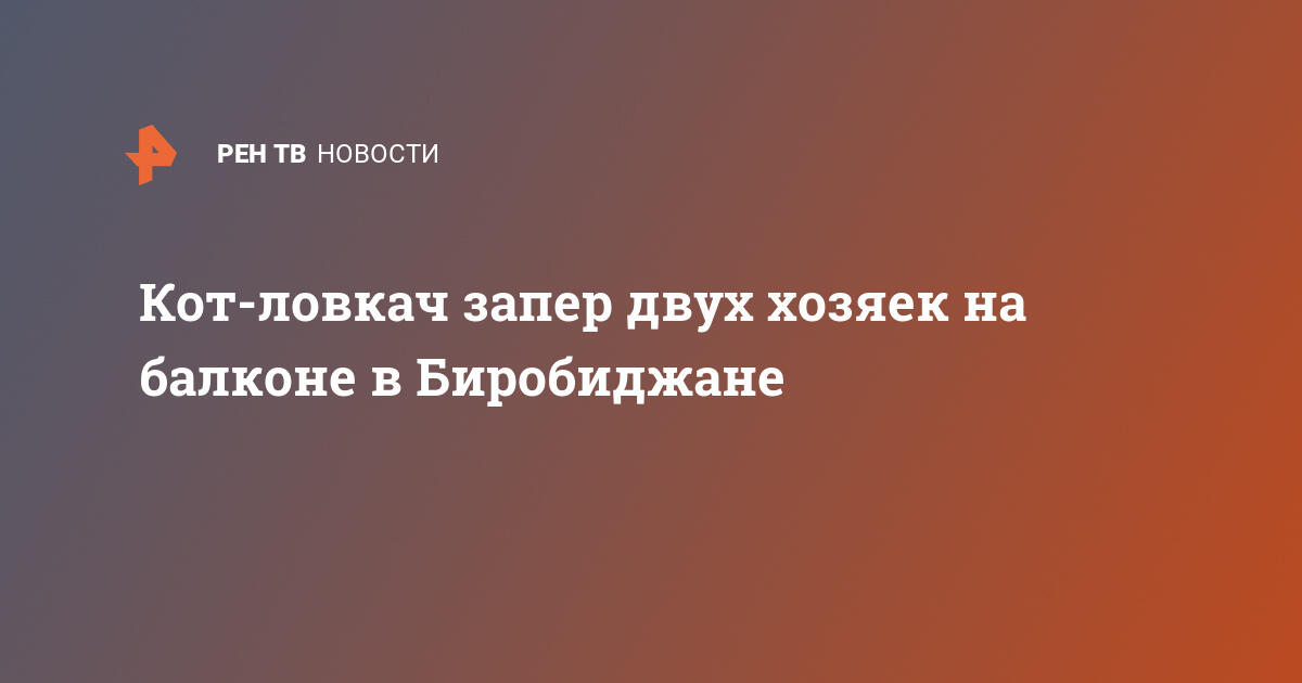 Кот-ловкач в Биробиджане: два хозяина заперты на балконе!