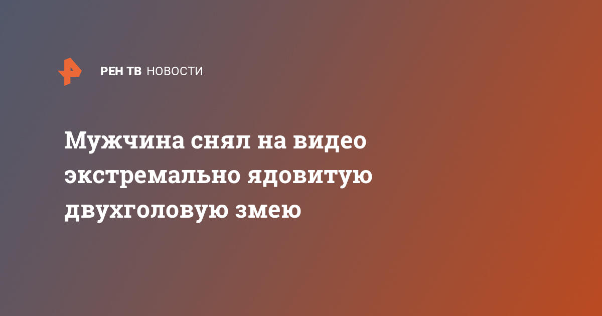 Мужчина снял на видео экстремально ядовитую двухголовую змею — 10.08.2020 — В мире на РЕН ТВ