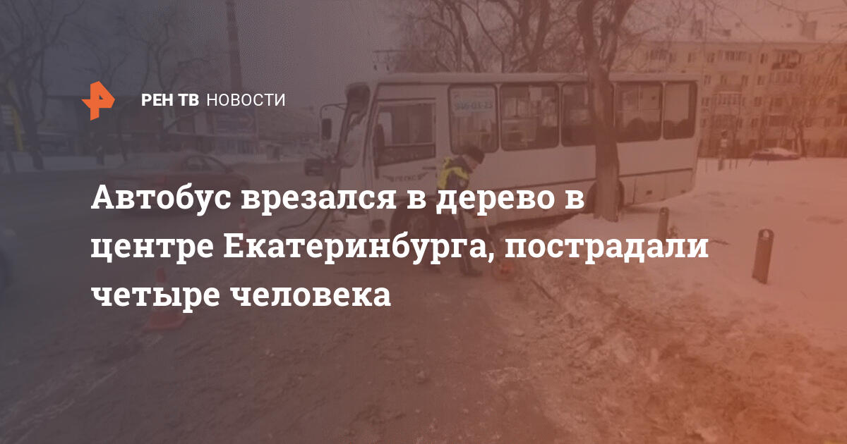 Аргументы и факты машина на дереве. Падение дерева на машину. Претензия упало дерево. Дерево упало на машину рисунок. Мультяшное дерево упало на машину.