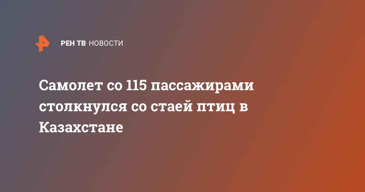 Самолет со 115 пассажирами столкнулся со стаей птиц в казахстане
