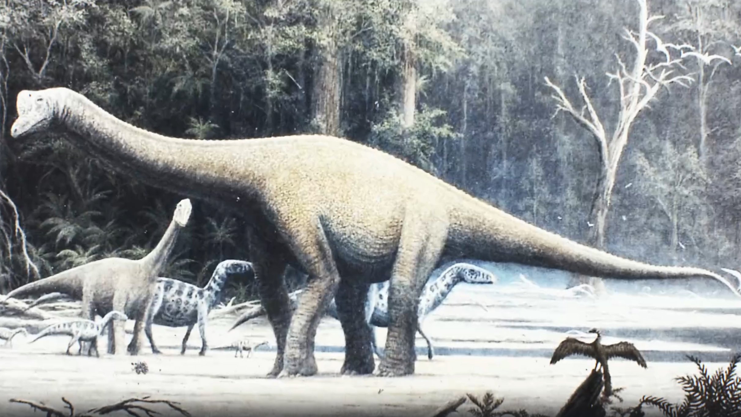 Виды и названия динозавров
