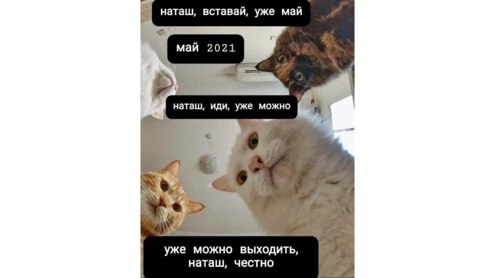 Наташ, мы там все уронили